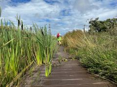 Thankful for a boardwalk - we'd started to get wet feet before this appeared